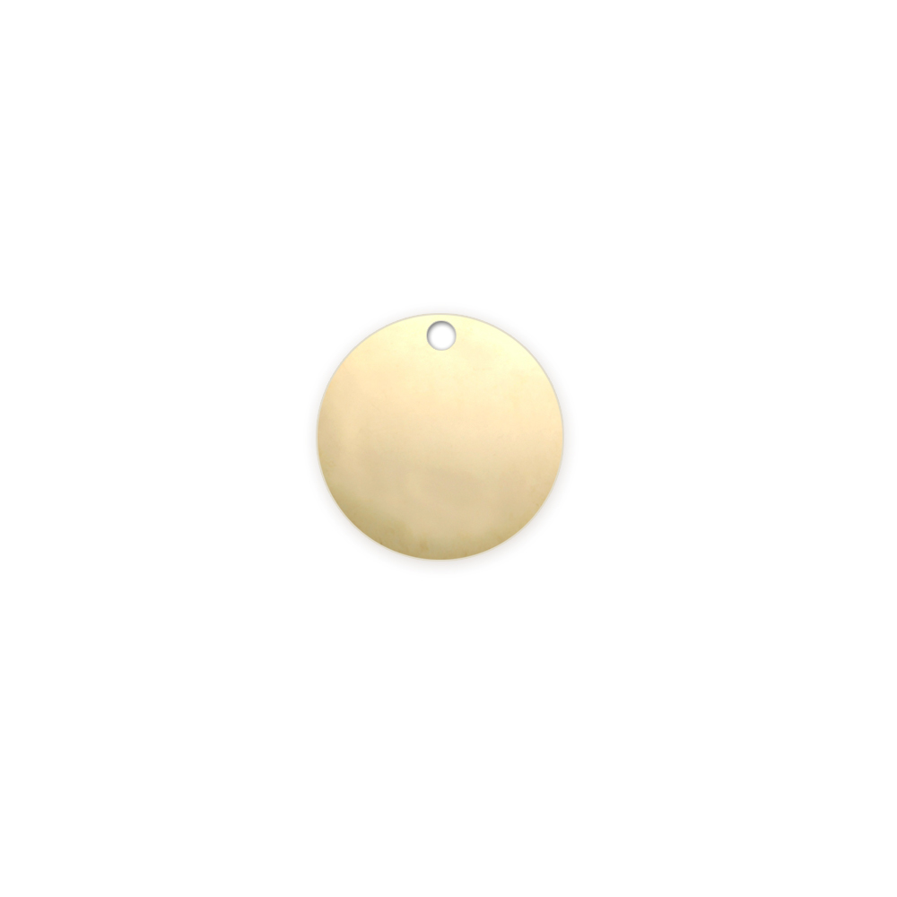 Metal Stamping Blanks Gold Filled Round, Disc, Circle with Hole, 8mm (.31"), 20g